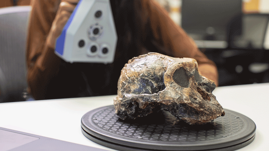 Le département d'anthropologie de l'Université de Toronto utill 'araignée spatiale Artec pour scanner un crâne en 3Dhth华体会全站app