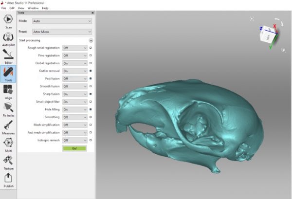松鼠头骨模型在Artec工作室