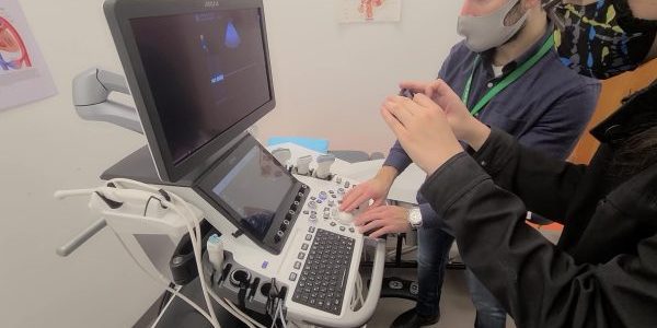 卡莫森学院的虚拟超声实验室