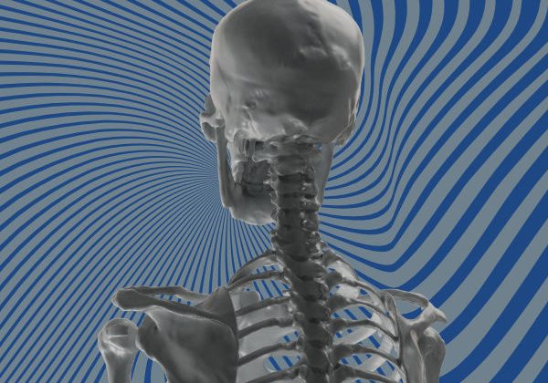 骨骼三维扫描hth华体会全站app