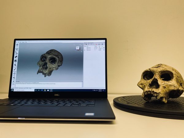 扫描UTM人类学部门的头骨，用于虚拟学习