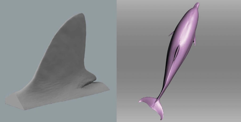 海洋动物3D scannéshth华体会全站app