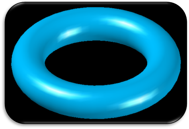 圆环面模型